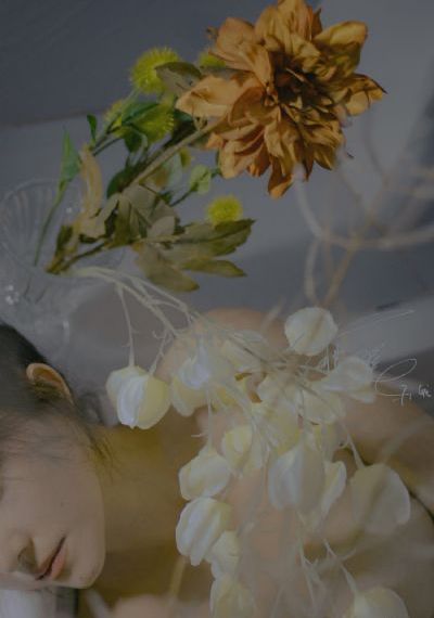 亞洲精品一區(qū)av在線播放_4K高清免費觀看
